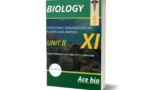 NEET Bionotes: Comprehensive guide to Structural Organisation In Plants and Animals
