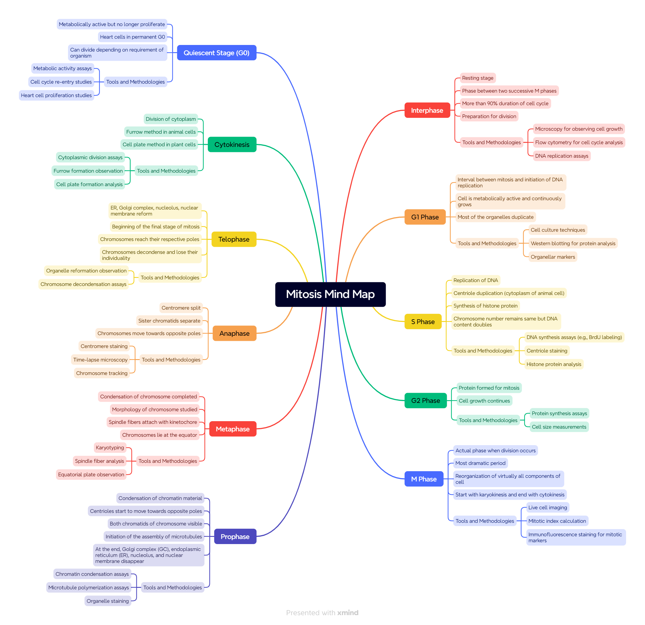 Mind map of cell cycle and cell division