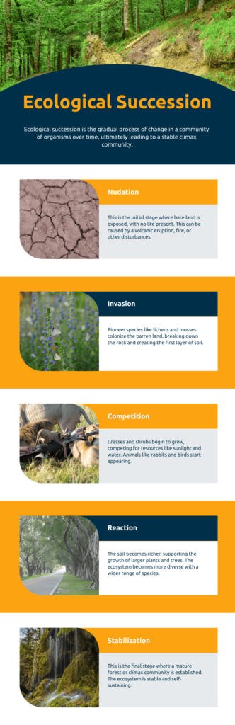 how all 5 stages of ecological succession work